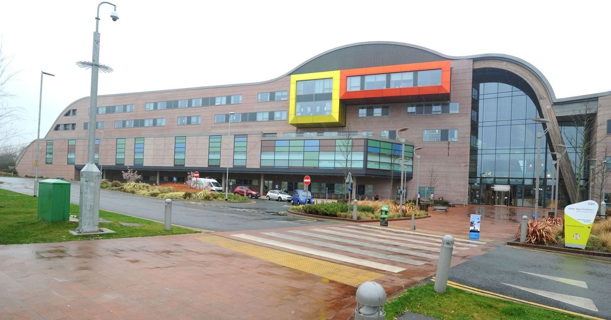 When Survival Becomes a Medical Emergency: The Brutal Reality of Food Insecurity in the UK