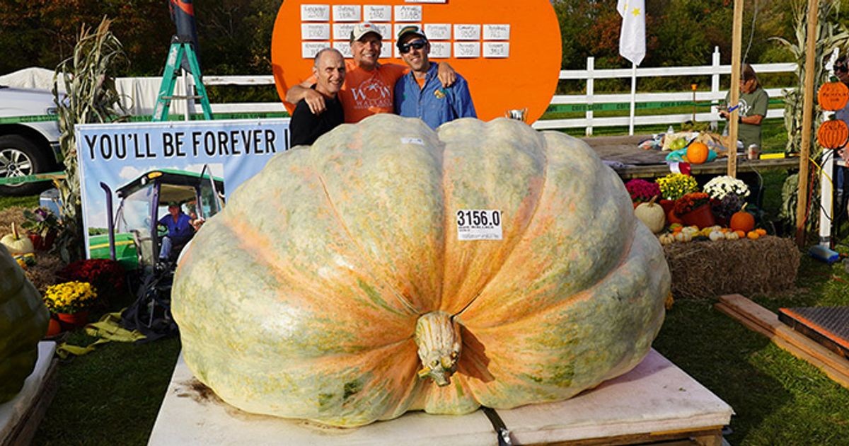 World's Biggest Pumpkin Record Broken Twice in One Week